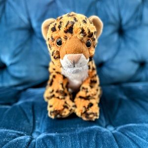 Childhood stuff Leopard looking for an amazing home!